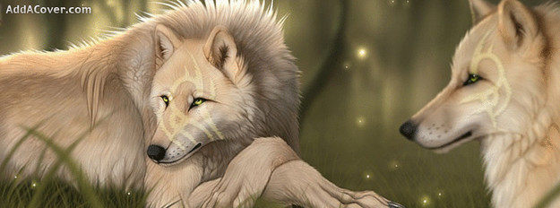 Planung Wolfsrain RPG (Shiro,Gabe, Asa, Sagi) Anime--Wolf-Mates--17698