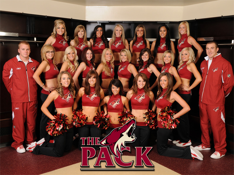 PhoEniX News 0809pack_800x600