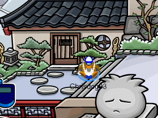 How to become a Ninja on Club penguin Hideout-door2