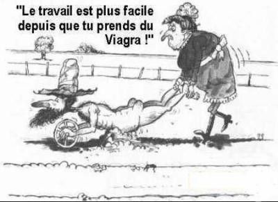 Le coin des blagues.... - Page 2 54dfba70