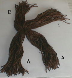 خياطة دمية من الالف الى الياء Hair2