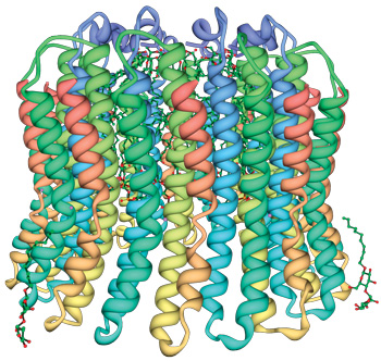 The irreducibly complex ATP Synthase nanomachine, amazing evidence of design 7660F0-portion