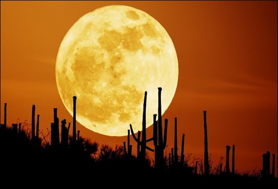 கண்னை கவரும் சந்திர உதயமும் மறைவும்  Rising-moon