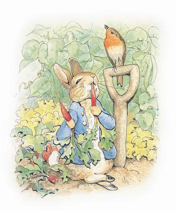 Peter Rabbit 2