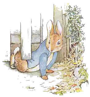 Peter Rabbit 4