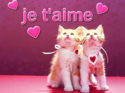 l'amour  ca vous dit quoi  ??????????? 2llprbox