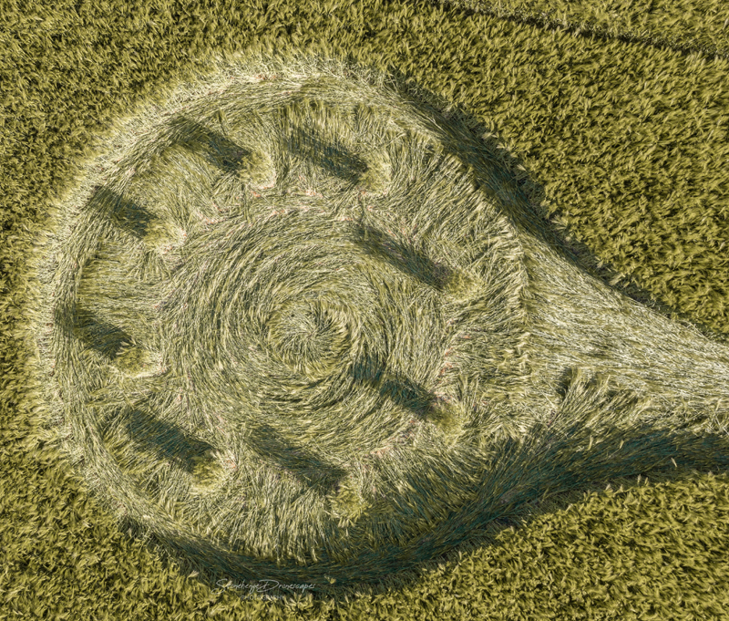 petit retour sur le crop circle en forme de coronavirus DJI_0324