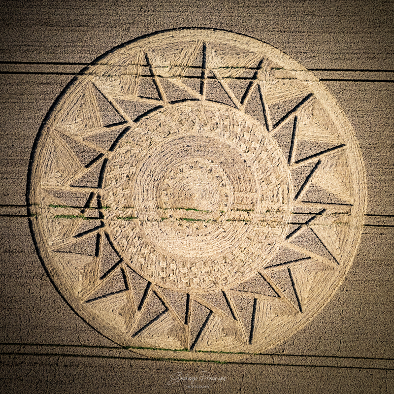 crop circles 2021 - Page 2 DJI_0750