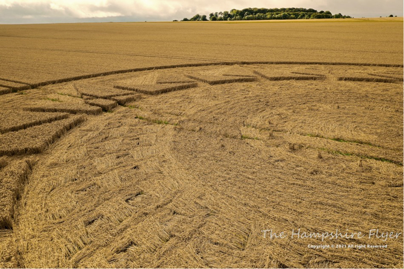 crop circles 2021 - Page 2 Hampshire15082021a