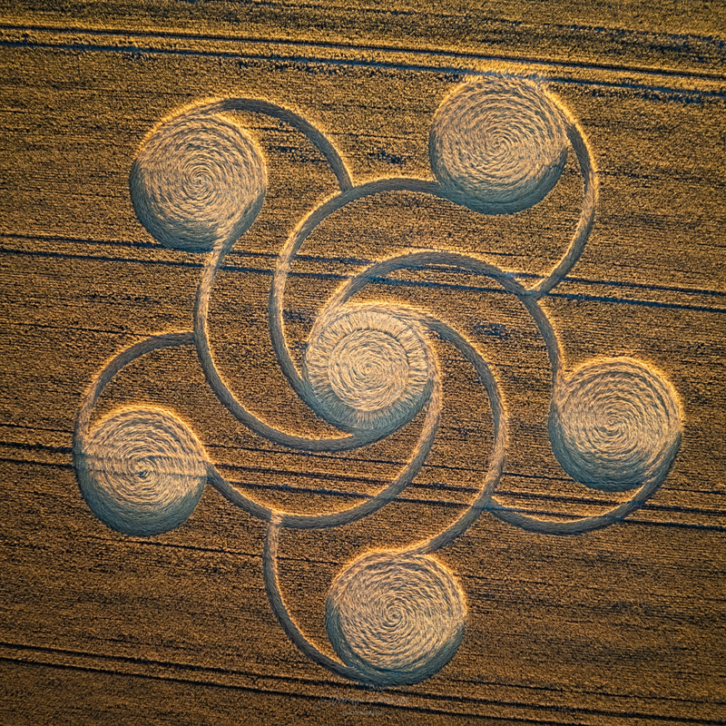 Crop Circles 2022 - Etchilhampton Hill (2), Nr Devizes, Wiltshire. Reported 8th August DJI_0115