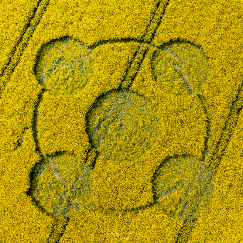 Crop Circles 2022 - Enmill Barn, Nr Crab Wood, Winchester, Hampshire. Reported 24th April DJI_0071