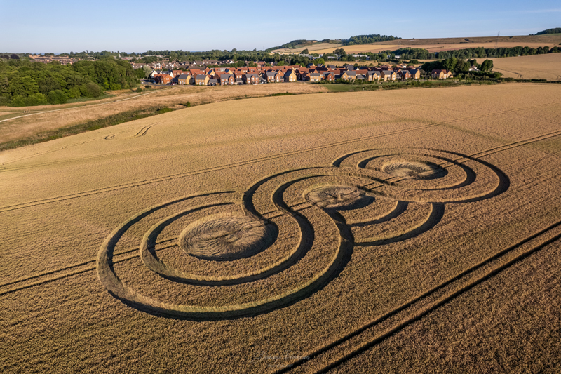 Crop Circles 2022 - Lay Wood, Nr Devizes, Wiltshire. Reported 14th July DJI_0296