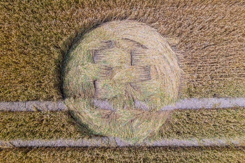 Crop Circles 2022 - Pilgrim's Trail, Nr Winchester, Hampshire.  Reported 12th July. DJI_0260