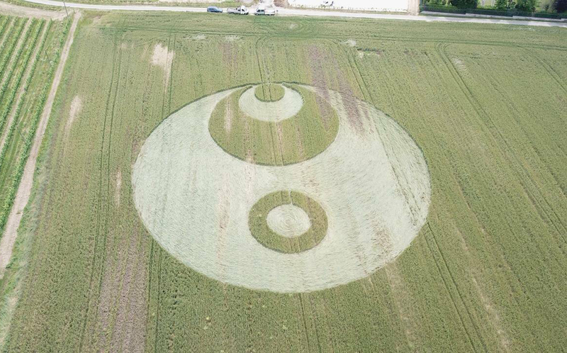 Crop Circles 2023 - Cascina San Michele, Nr Giulietta. Italy Reported 30th May Caprihi-nel-grano-casci