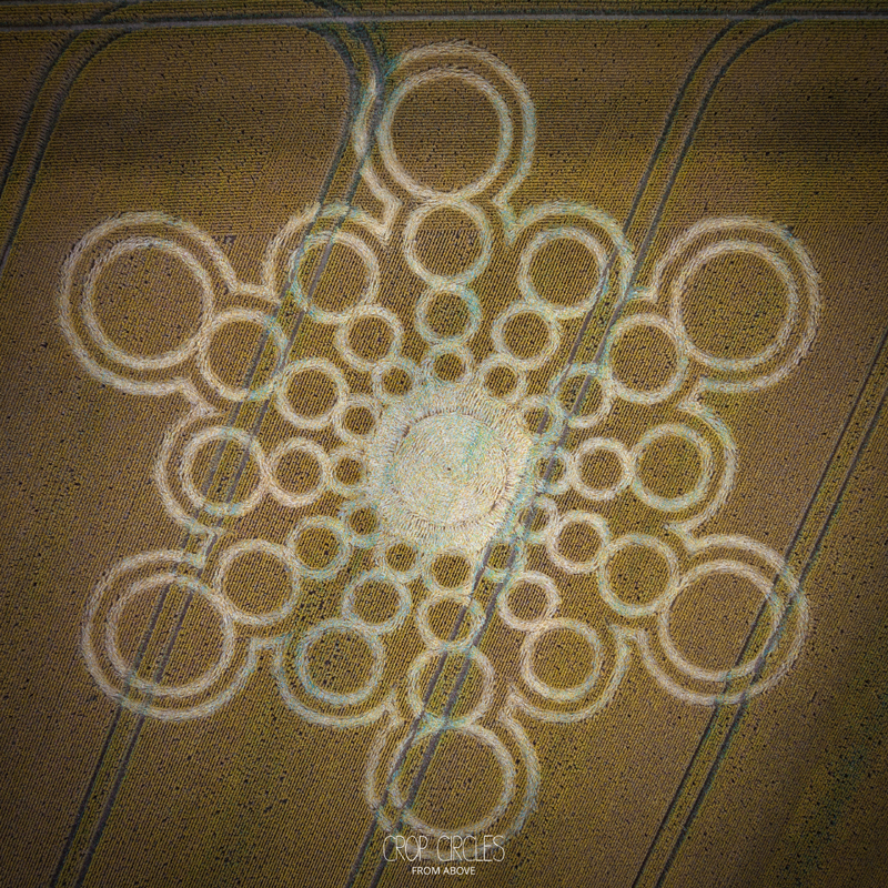 Crop Circles 2023 - Two Reported 9th July DJI_20230709081009_0338_D