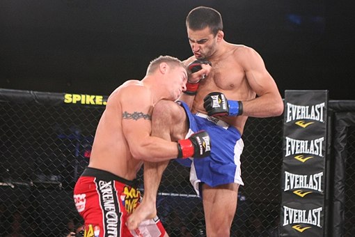 (Bellator 74 *Spoiler) Who's a better striker/kb'er at WW or LW in the UFC than... CA7W5LFhv-g