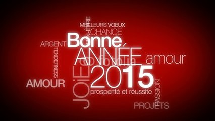 Aujourd'hui c'est… Joyeux Noel, Bonne Année ― Halloween, Pâques, Poisson d'Avril, Fête des Mères ou Pères, Saint-Valentin, Action de Grâce ― Fête Nationale: Québec & France - Page 24 Img_bonne_annee