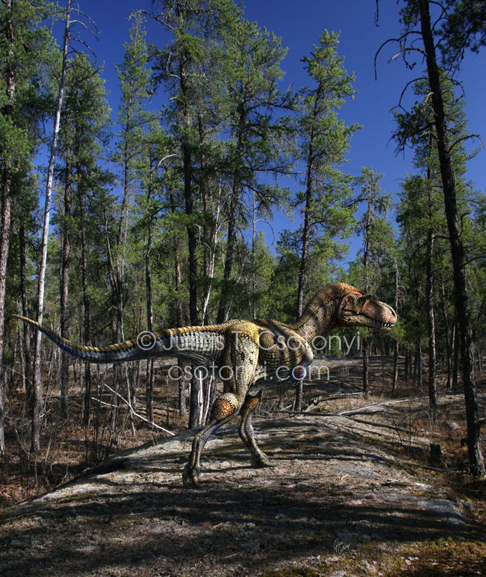 John Hammond's Island Dinosaurs Gorgosaurus04