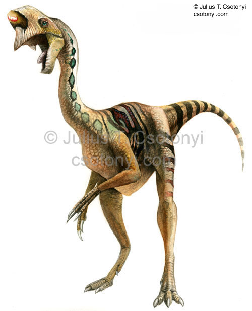 Dinazor Türleri Ve Hayvanların Resimlerle Genel Özellikleri Oviraptor02