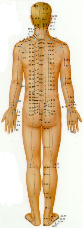 العلاج بالإبر الصينية ACUPUNCTURE Acupointsfig2