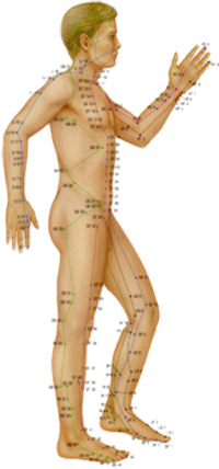 العلاج بالإبر الصينية ACUPUNCTURE Acupointsfig33