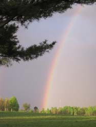 Capsule de réflexion de la semaine Bonheur-arc-en-ciel-250