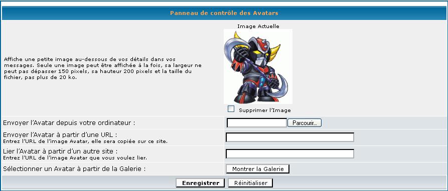 Votre Profil Avatars