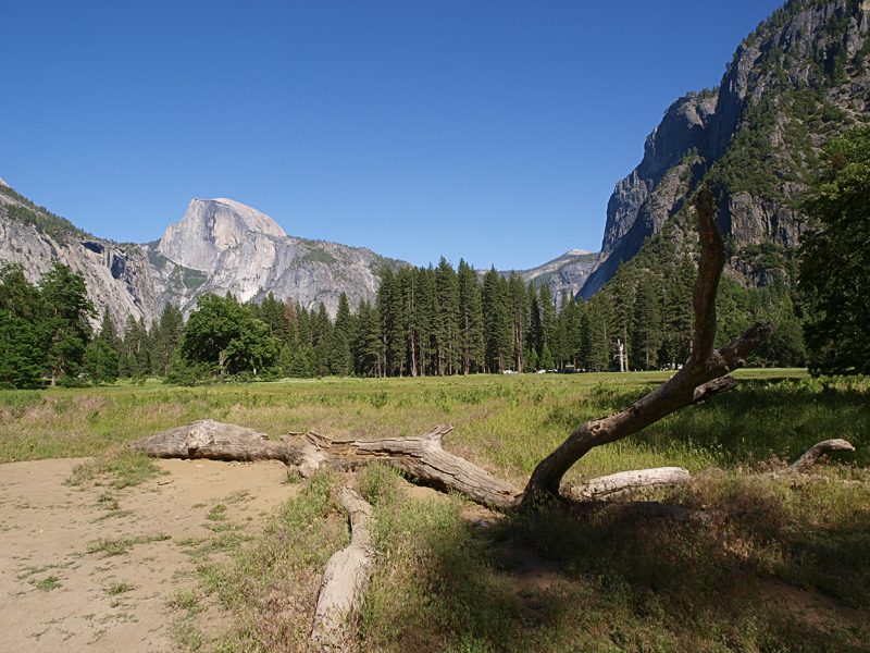 Yosemite National Park 20100701_4245