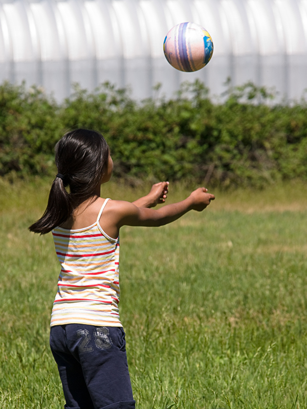 Grass Volleyball 20100530_3331