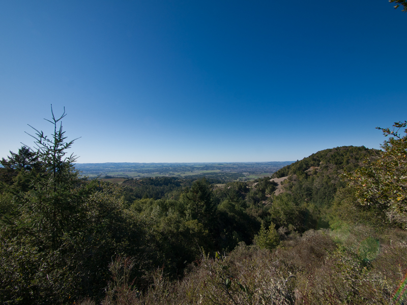 Sonoma Mountain 20111201_7415