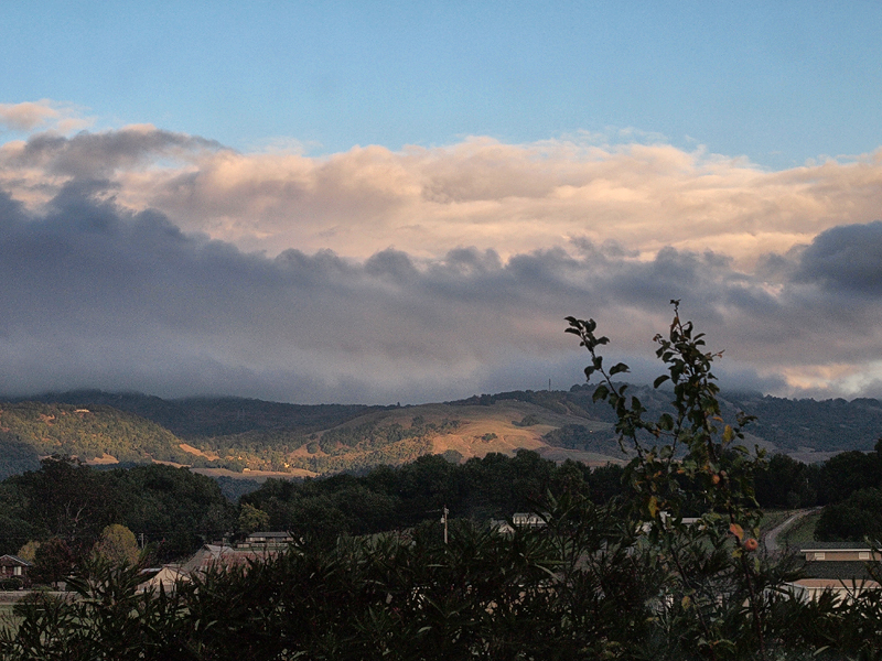 Sonoma Mountain 20111120_6917