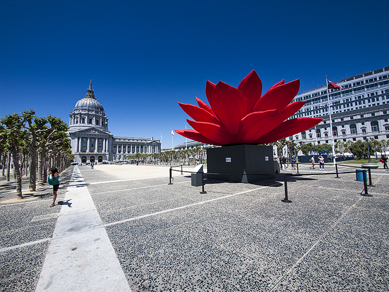 Mairie de San Francisco 20120519_9147