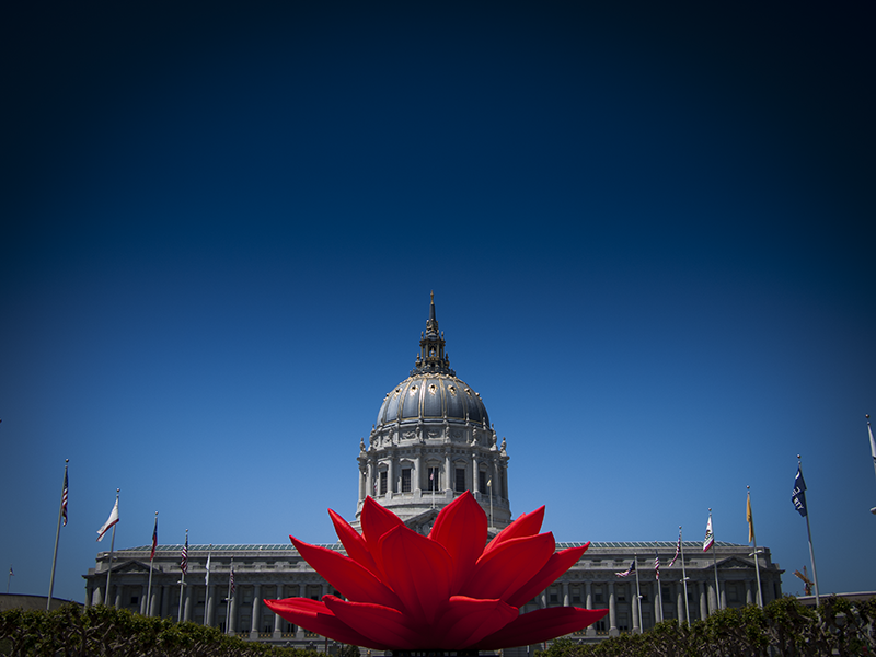 Mairie de San Francisco 20120519_9159