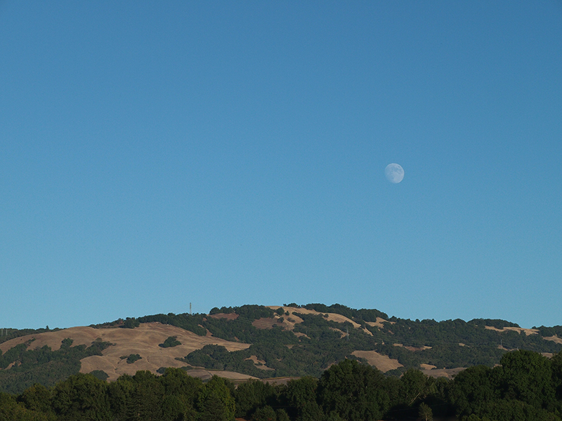 La lune vue de la Californie 20121026_3738