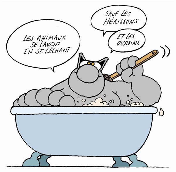 Le Chat qui  nous  faire  sourire et rire LeChat20090404