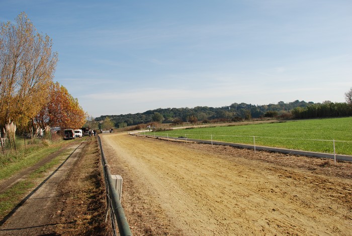 Cynodrome de MONTEUX 091108-2543