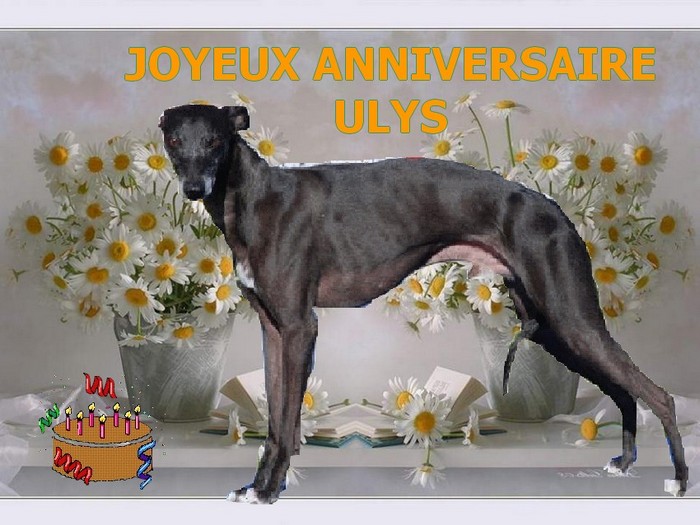 Trs Joyeux Anniversaire les Blacks !!! Anniv-ulys-2010-1