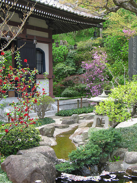 Manoir Tenshi (Sept rsidents) IMG_1484_hase-dera_temple_kamakura_japon