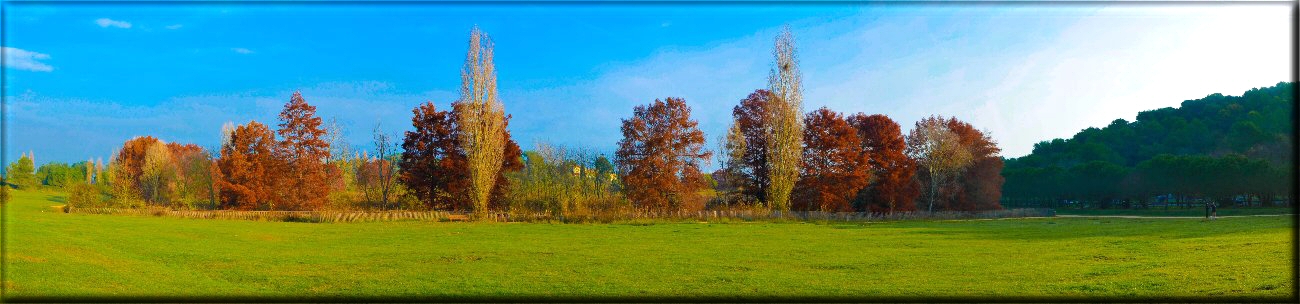 Quelques clichés sur ma région-(PACA) Paca_25