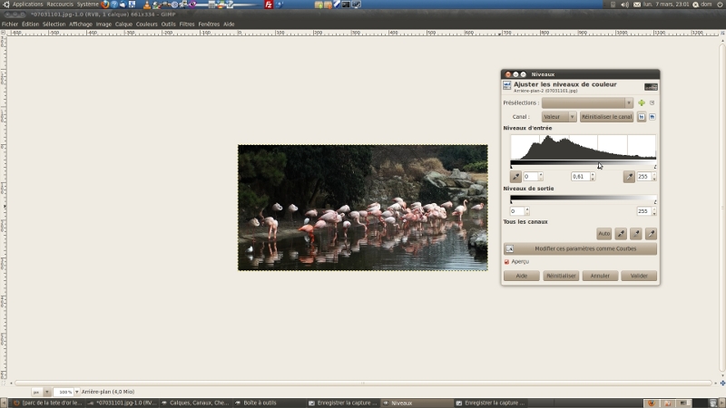 Retouches basiques avec The Gimp 07031108