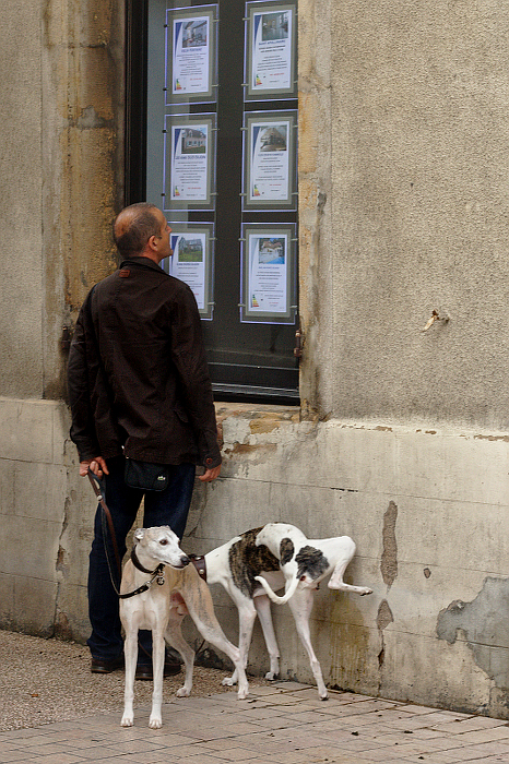 La tête dans le cul et vice versa 2014073102