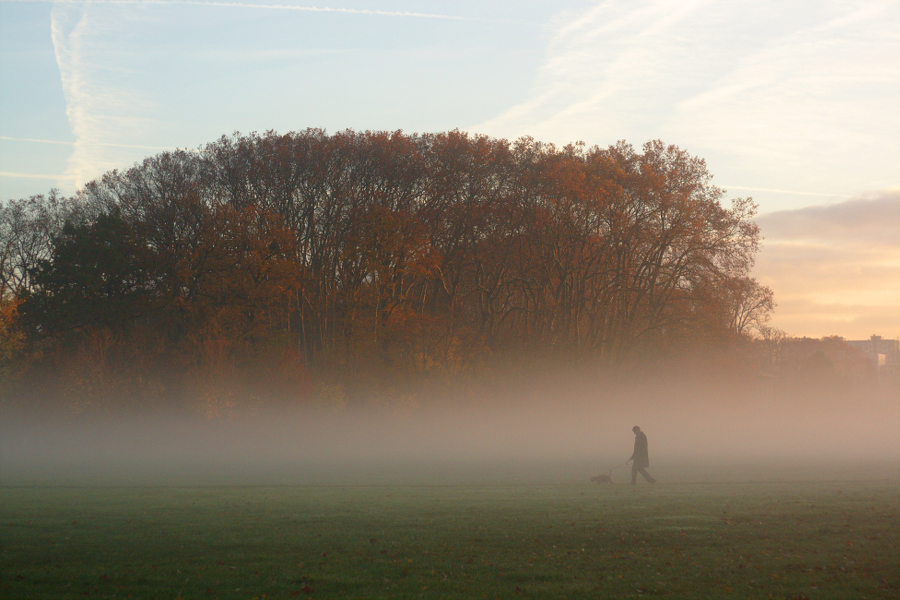 L'homme au chien 3 2014112304