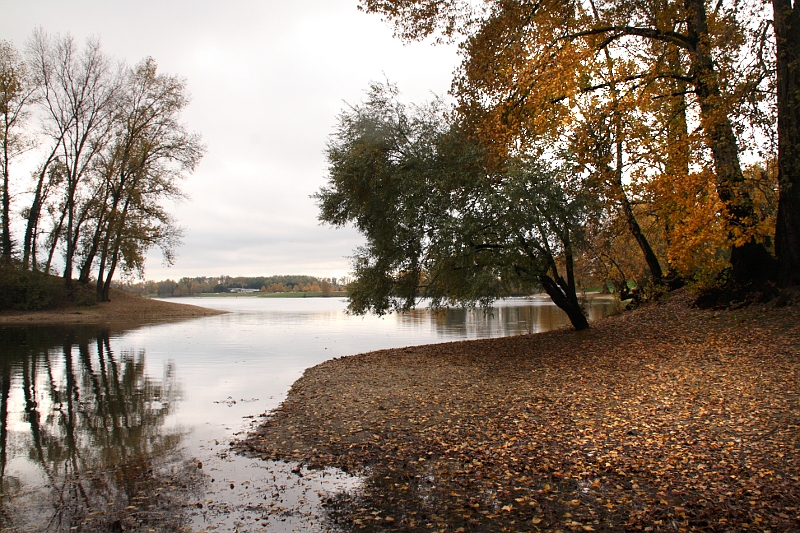 Au bord de l'eau en Automne 28011105