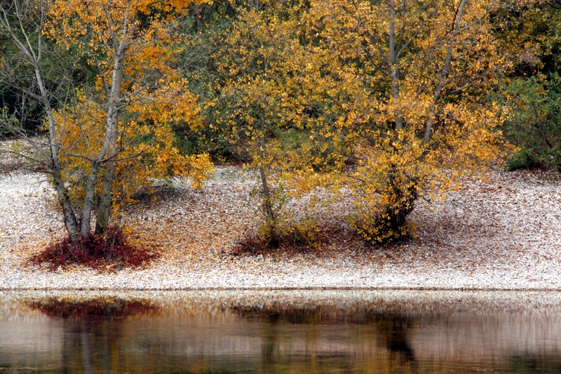 Au bord de l'eau en Automne 28011106