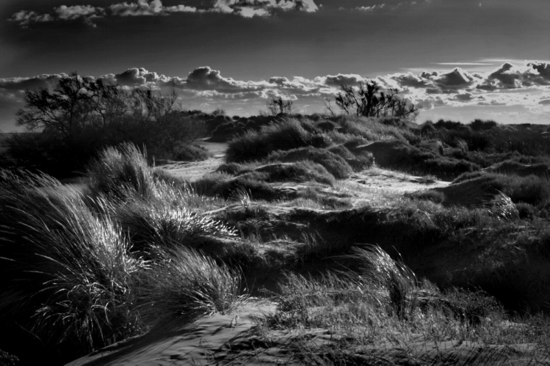 Camargue, les Stes maries de la Mer 30121203