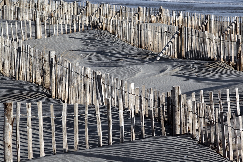 Camargue - Ganivelles Ganivellesa