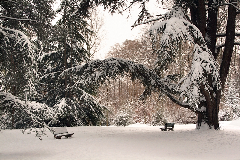 Parc de la Tête d'Or sous la neige Hiversparc3