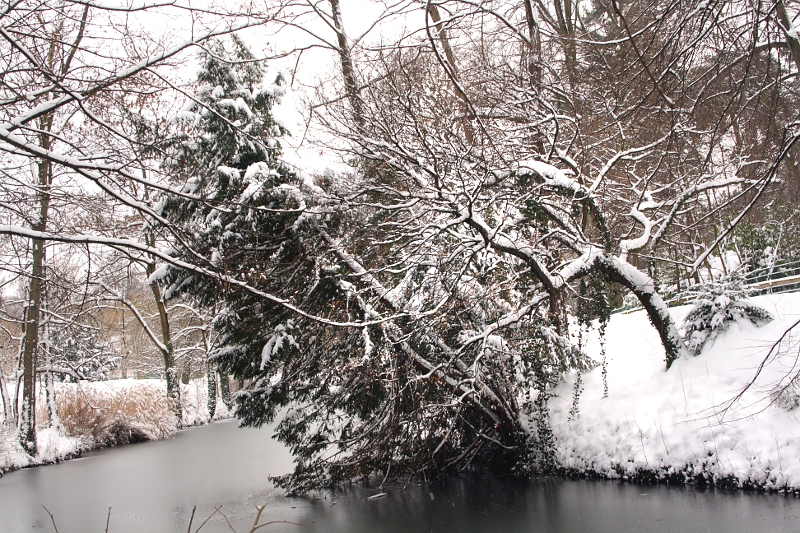 Parc de la Tête d'Or sous la neige Hiversparc5