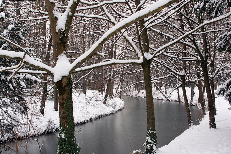 Parc de la Tête d'Or sous la neige Hiversparc6