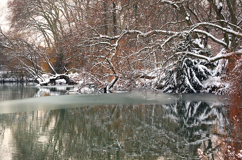 Parc de la Tête d'Or sous la neige Hiversparc8